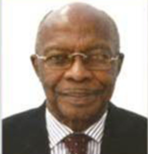 Amb. Olufemi Ani